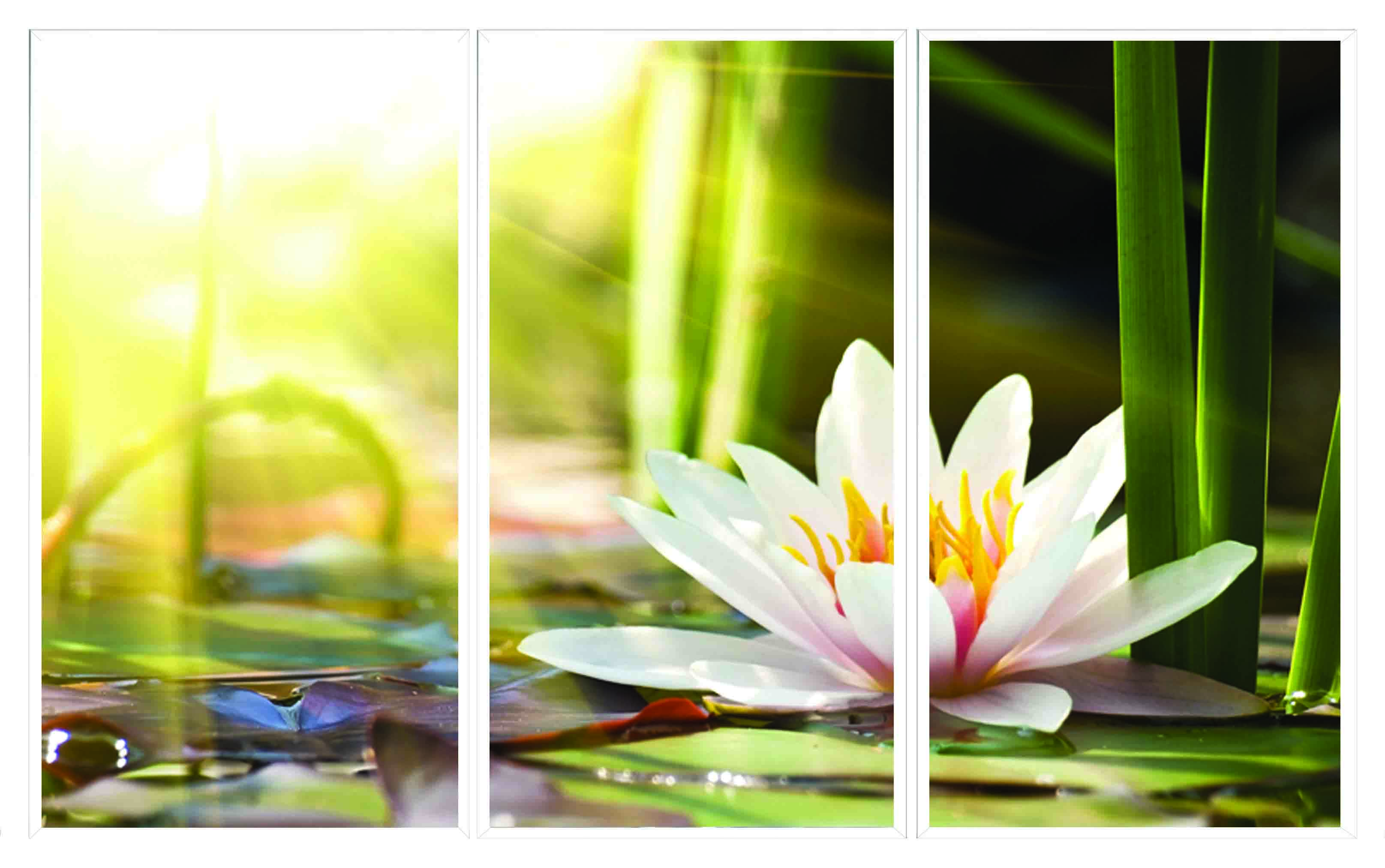 ASG452 Wall décor art printed on glass floral set of 3